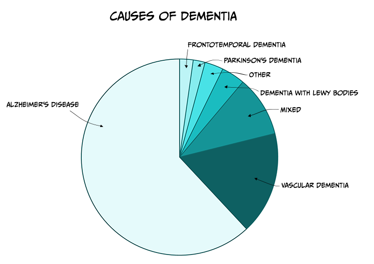 Pie chart showing different causes of dementia, with Altzheimer's disease accounting for well over 50%, followed by vascular dementia