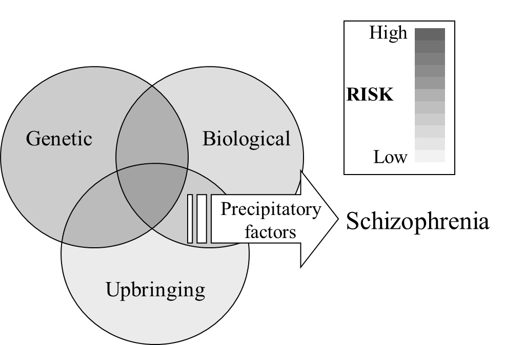 Venn diagram of  precipitatory factors and associated risk levels for schizophrenia