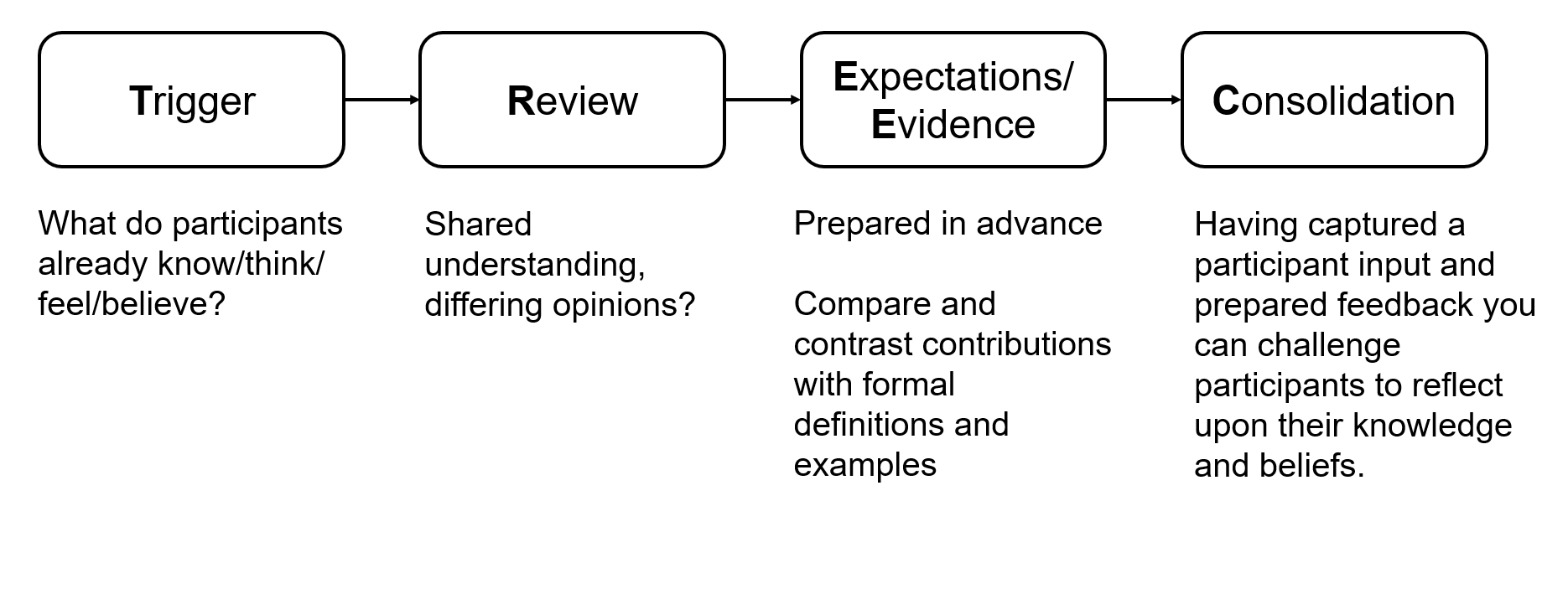TREC model in 4 stages Trigger, Review, Expectations/Evidence and Consolidation. Full description in the main text.
