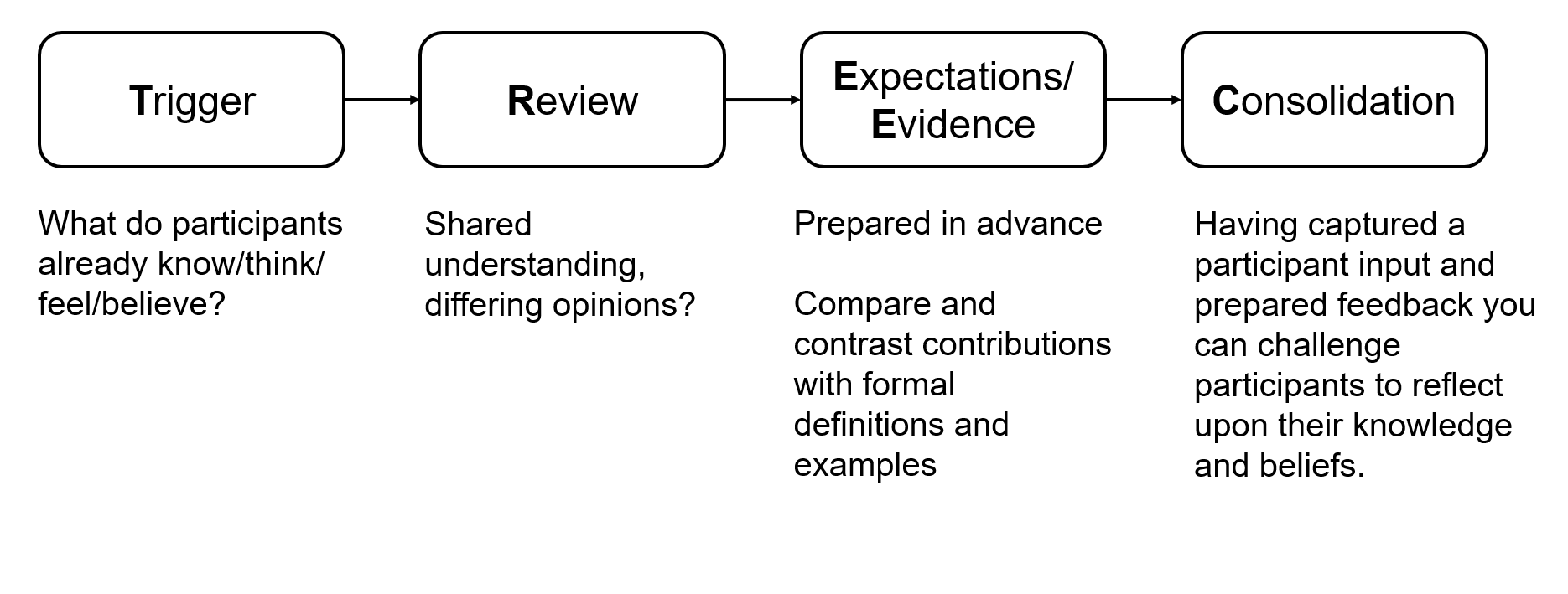 TREC model in 4 stages Trigger, Review, Expectations/Evidence and Consolidation. Full description in the main text. 