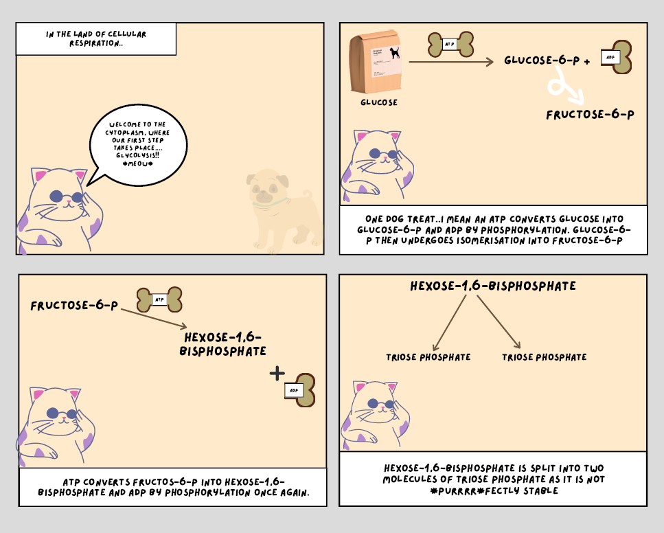 Example of a comic strip created by a student using Canva