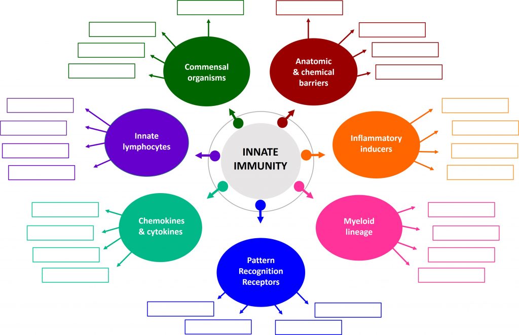 Interactive mind map – creating bonds among new learners – 100 Ideas ...