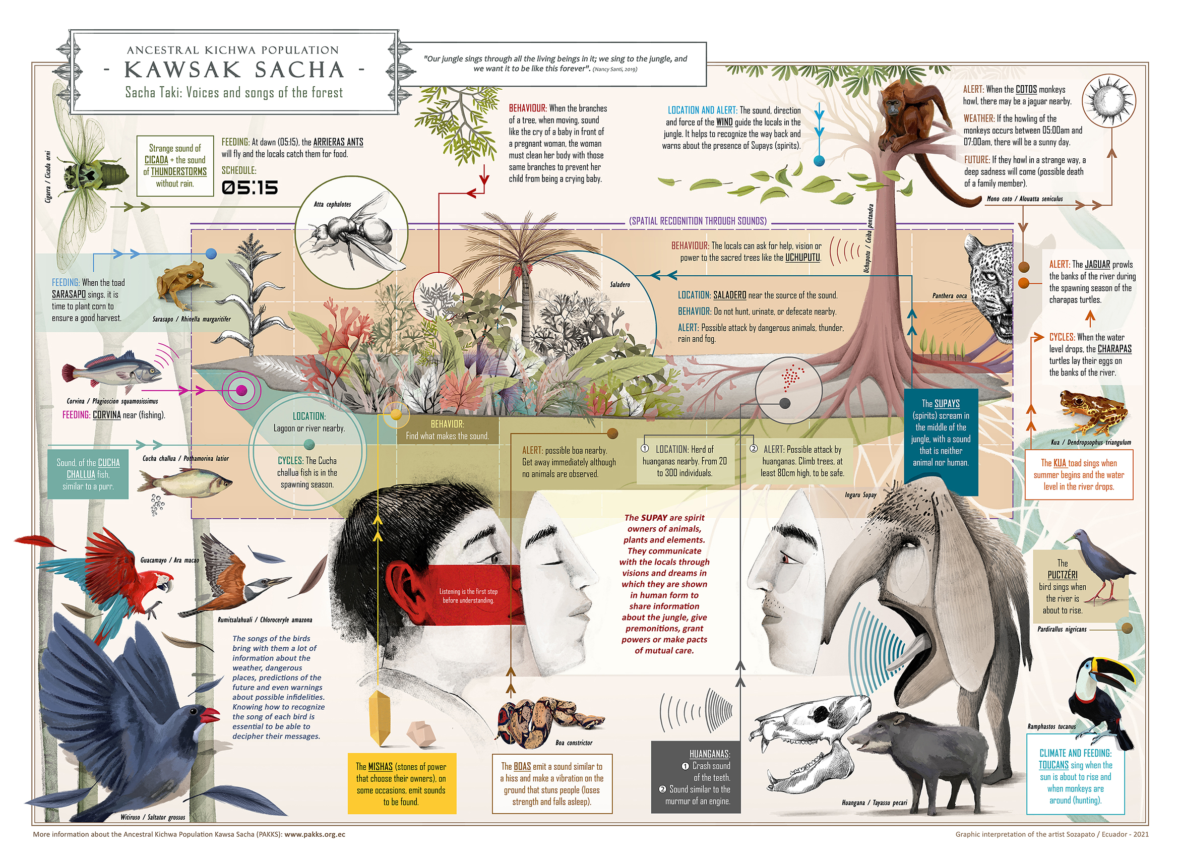 An illustration of Ecuadorian wildlife and people, with descriptions of local soundscapes and their connections to the ancestral Kichwa population
