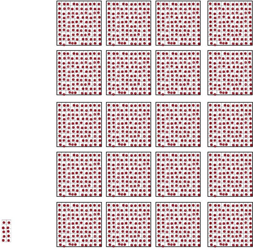Two images of red dots each representing numbers of apples. The one on the left has only 10 apples and represents the number of apple varieties sold by supermarkets. The one on the right of 2,000 apples represents the number of apple varieties grown in UK orchards.