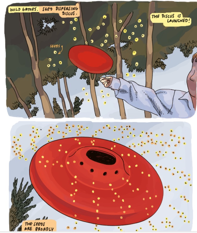 Comic-graphic style images of a seed-dispersing discus being launched and dispersing seeds in flight.