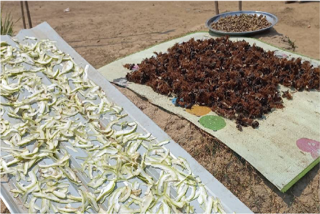 A photo of vegetables laid out to dry on the ground.